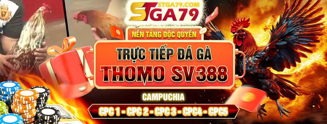 banner-stga79-1 (1)
